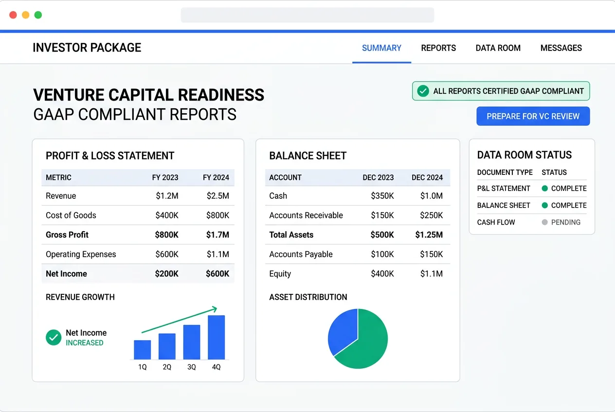 Investor-ready financial package showing GAAP-compliant P&L and balance sheet for VC review